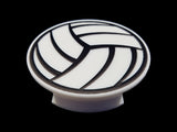 Sports - Volleyball Plate Disc