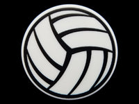 Sports - Volleyball Plate Disc